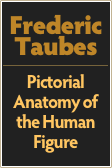 Frederic
Taubes
￼
Pictorial Anatomy of the Human Figure